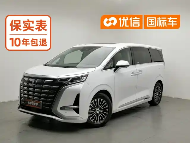 Denza D9