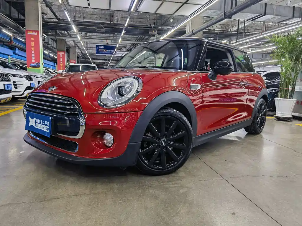 Mini Mini 2017