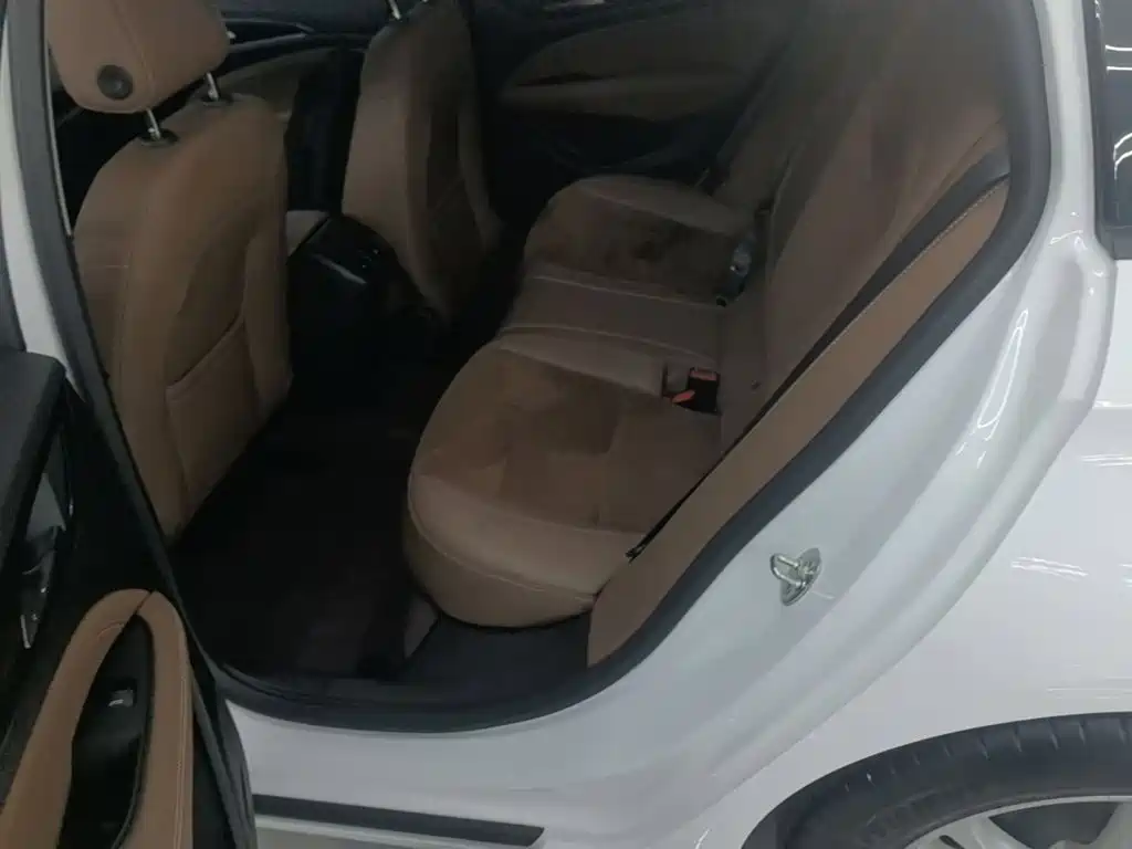 Buick Regal — миниатюра 17