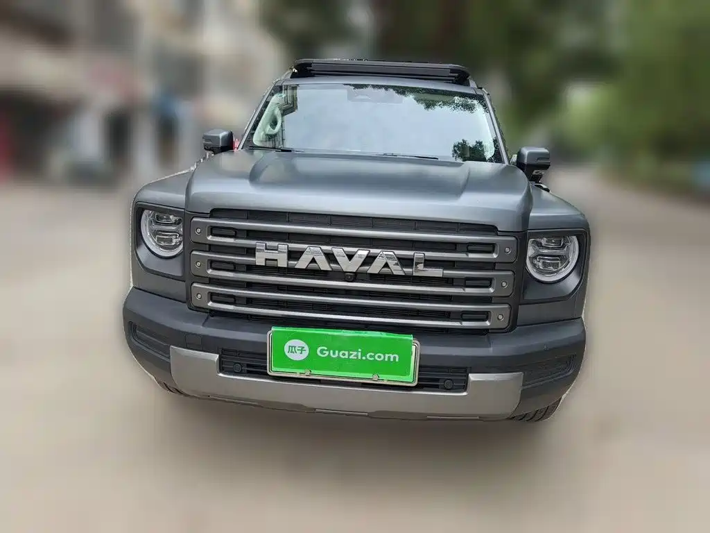 Haval Menglong New Energy — миниатюра 2