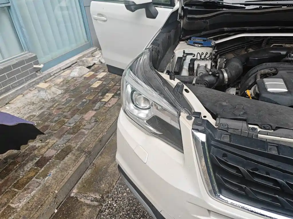Subaru Forester — миниатюра 7