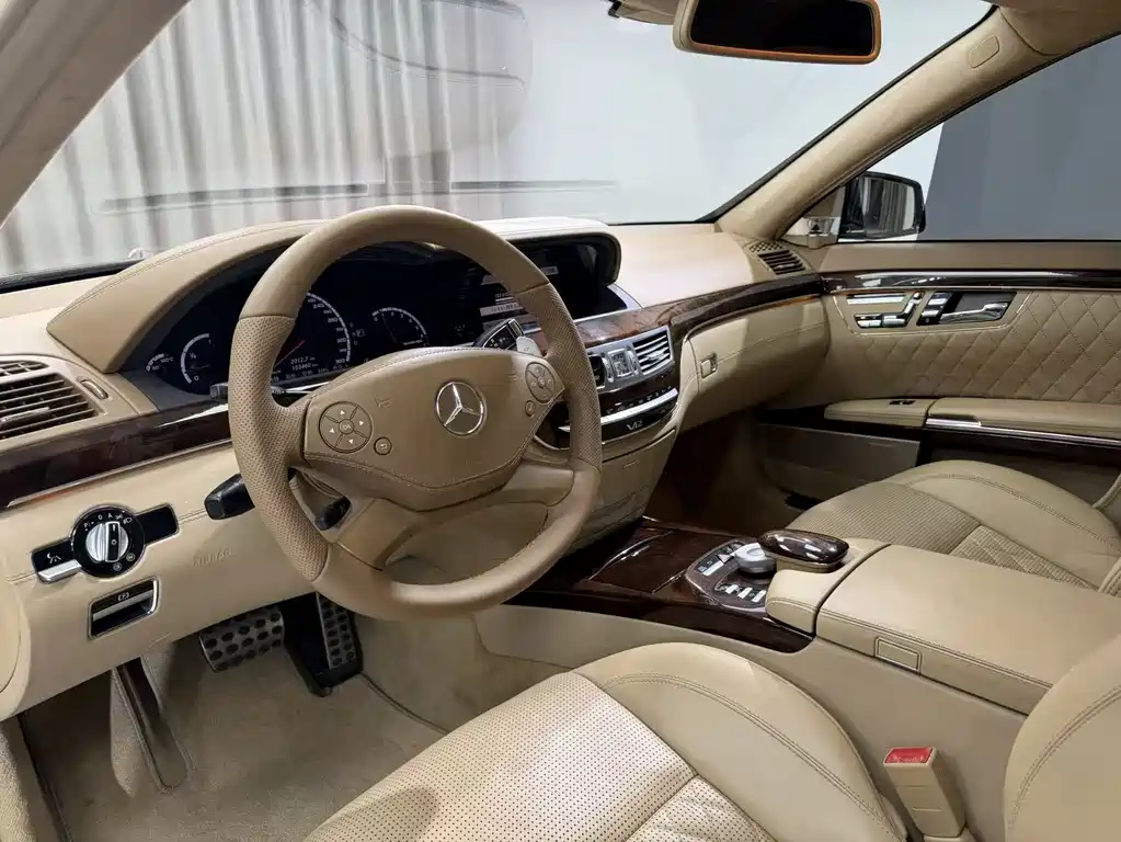 Mercedes-Benz S-Class A MG S AMG 2010 AMG S 65