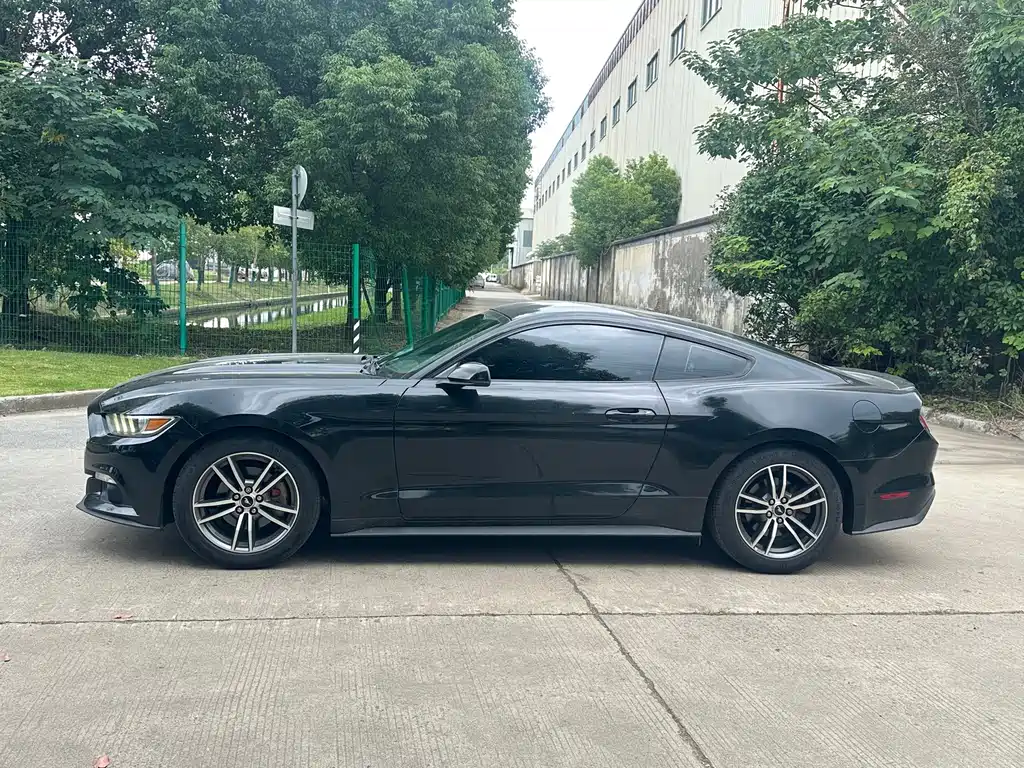 Ford Mustang — миниатюра 8