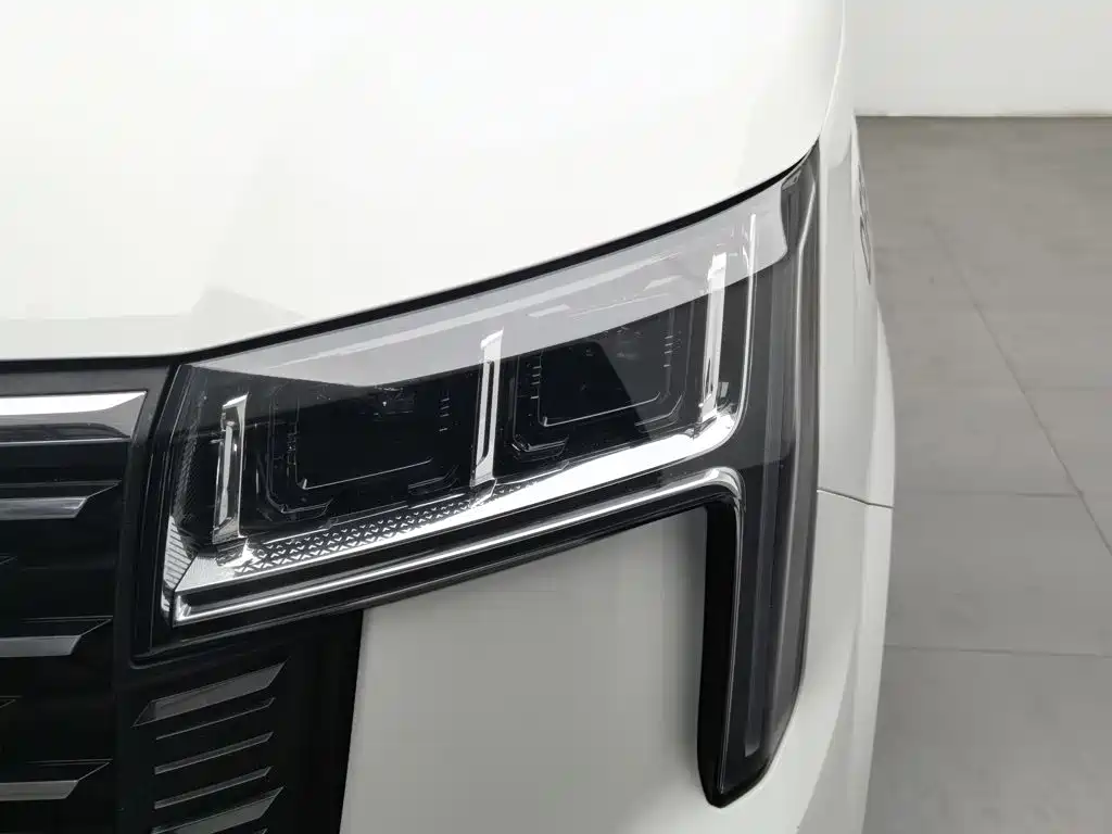 MAXUS V80 — миниатюра 7