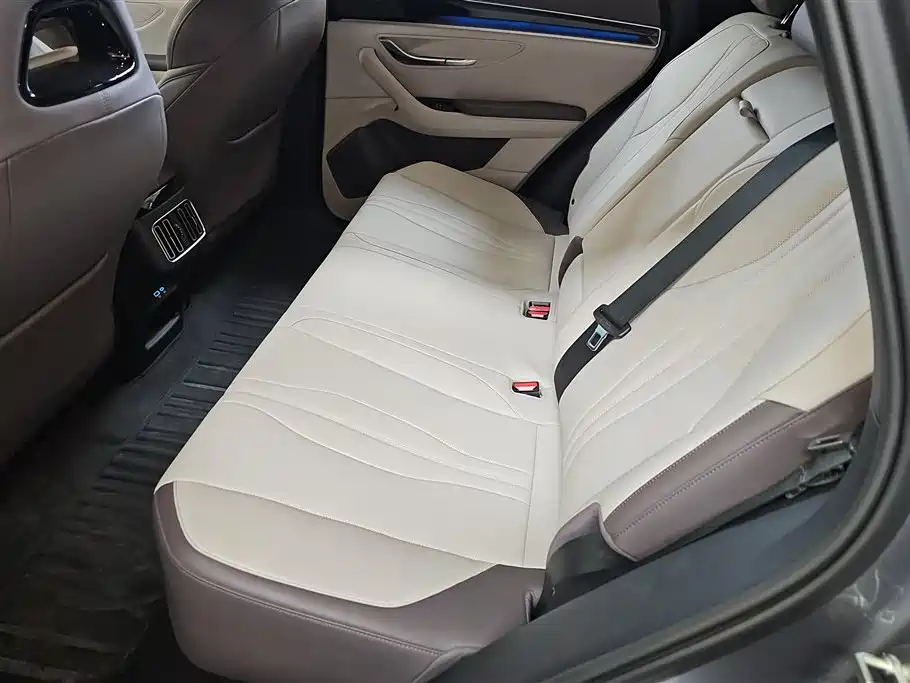 BYD SONGJIANG NEW ENERGY