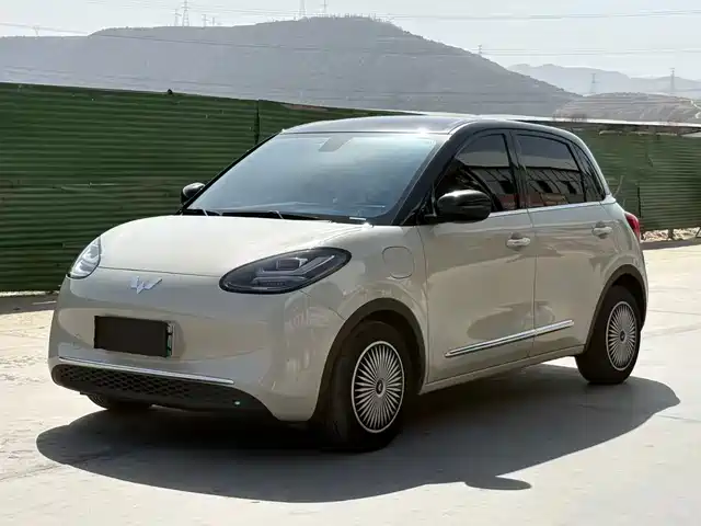 WULING WULING BINGGUO 2024