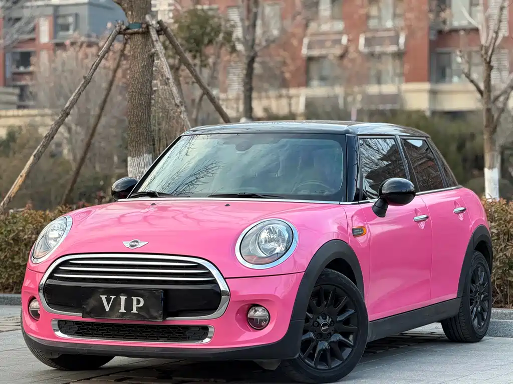 Mini Mini 2018