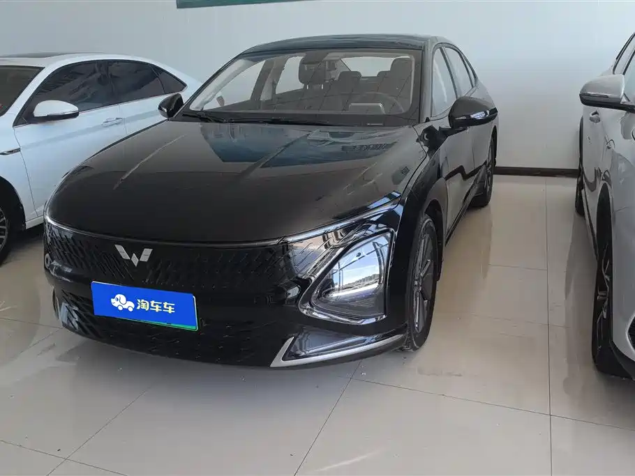 Wuling Xingguang 2024