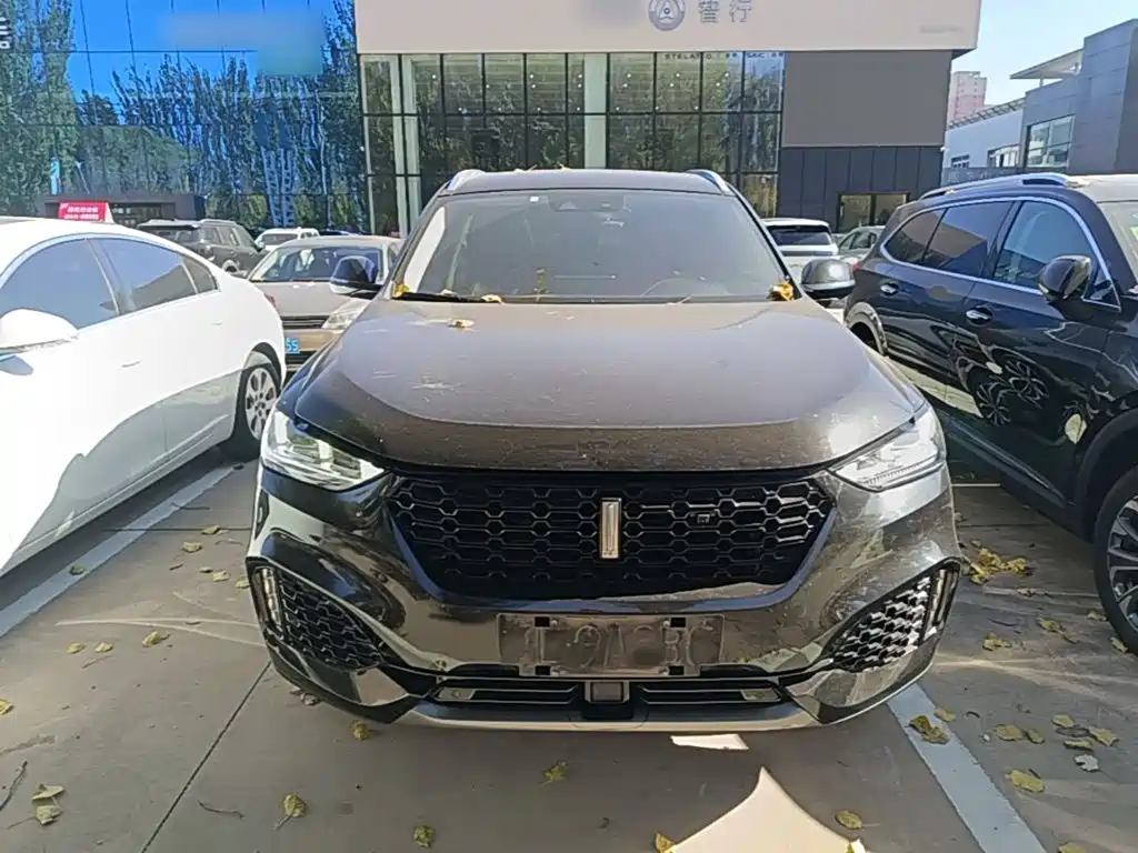Wey Wey VV6 — миниатюра 3