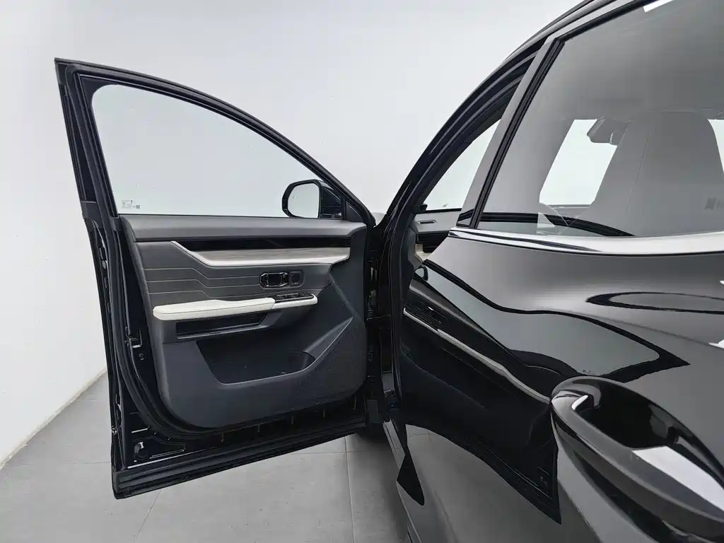 Shanhai Shanhai L6 — миниатюра 8