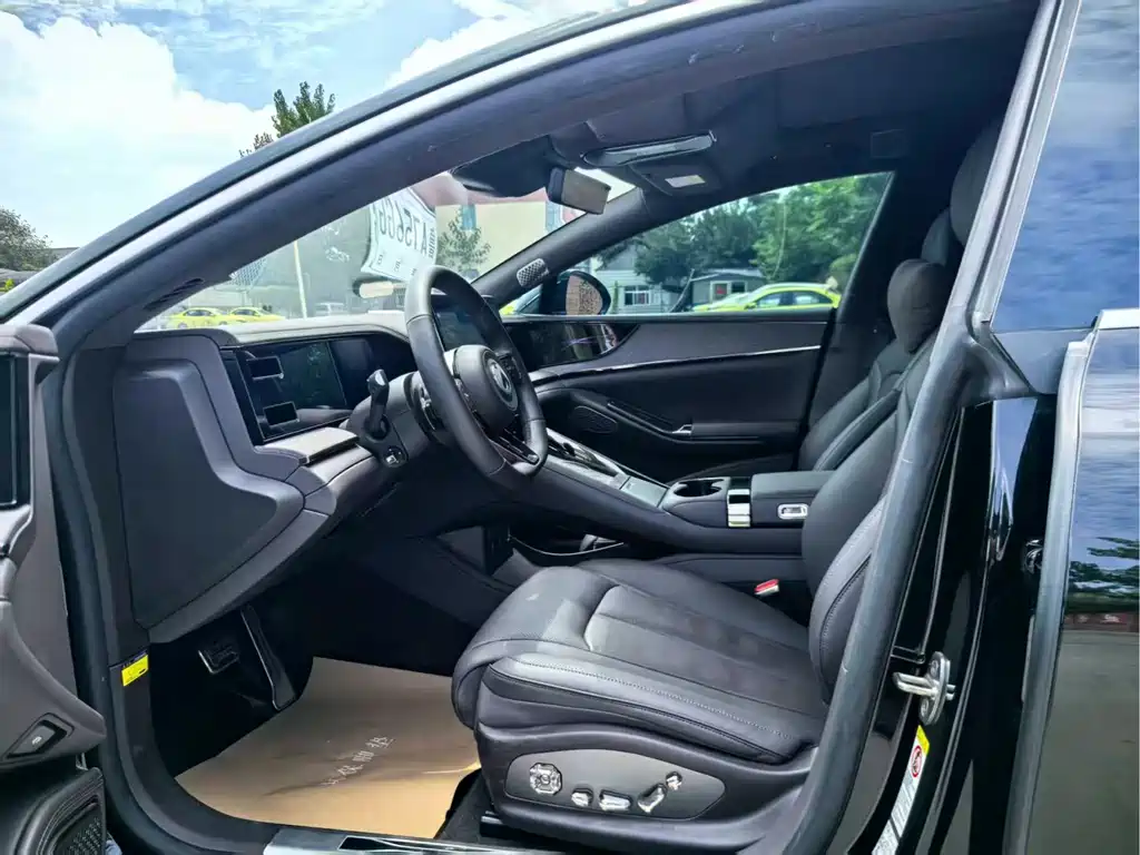 Denza Denza Z9 — миниатюра 9