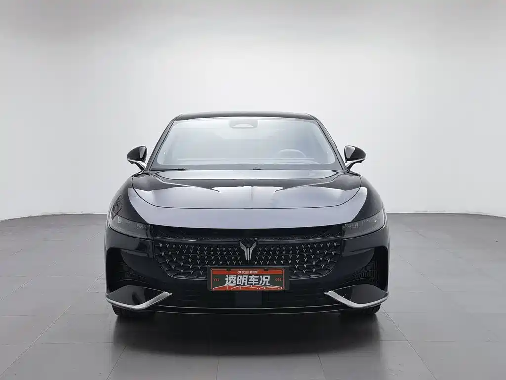 Voyah Passion 2024 PHEV Flagship