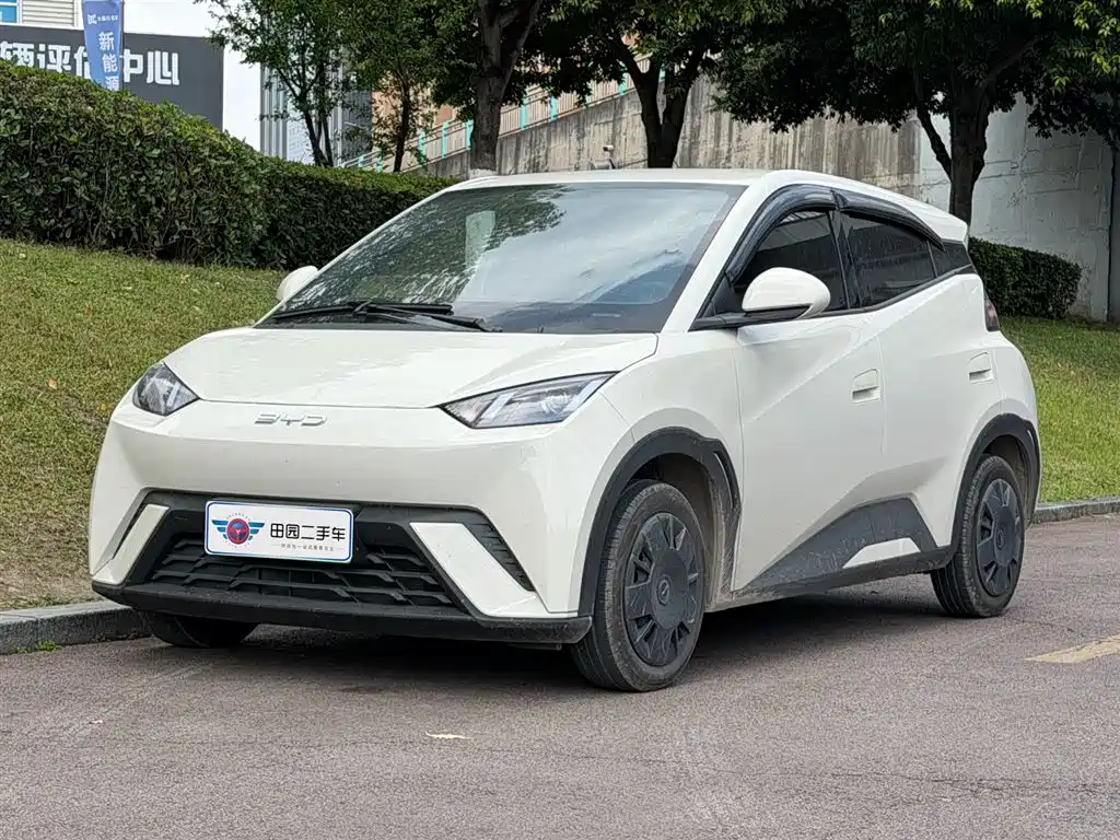 Byd Seagull 2025