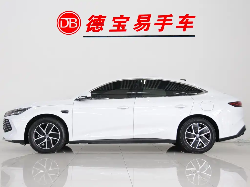 BYD QIN L
