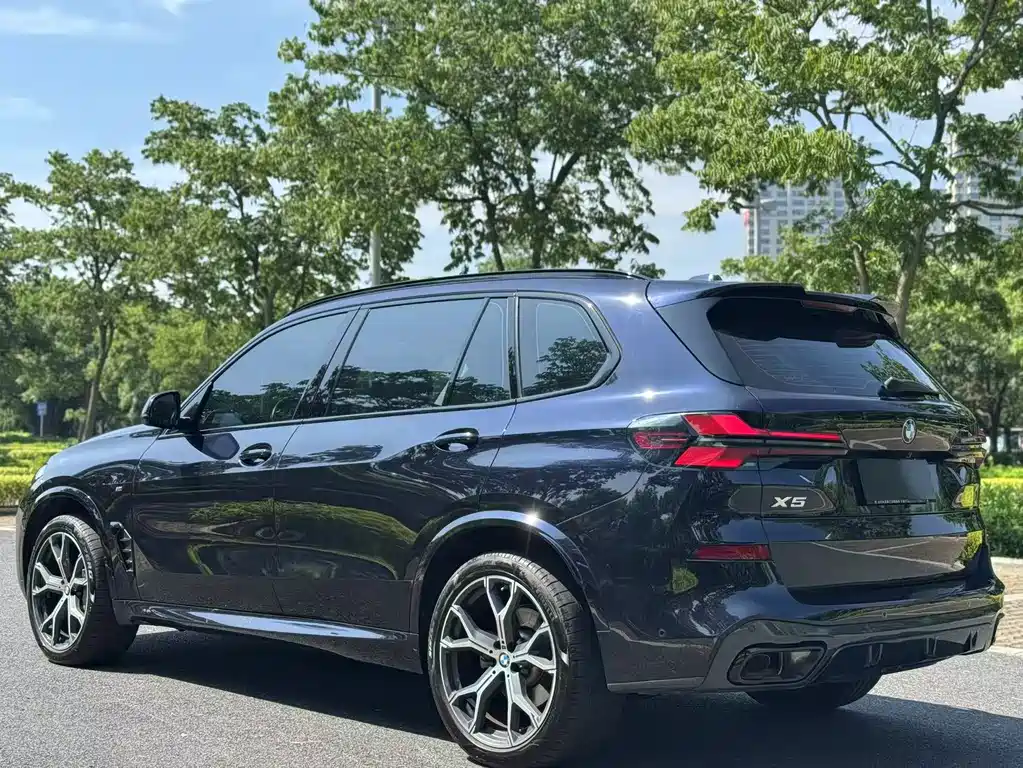 BMW X5 — миниатюра 8