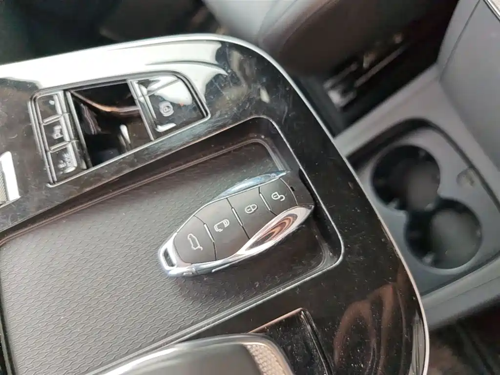 Hongqi HQ9 PHEV 2024 2.0T