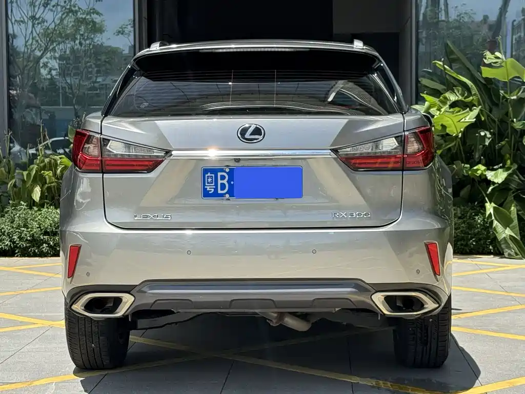 Lexus RX 2020 300 Elite VI