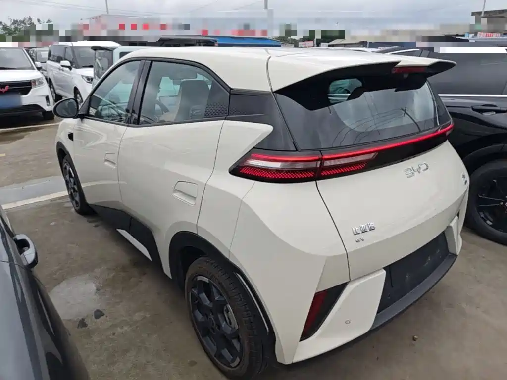BYD Seagull 2025 Smart Drive 305km Freedom