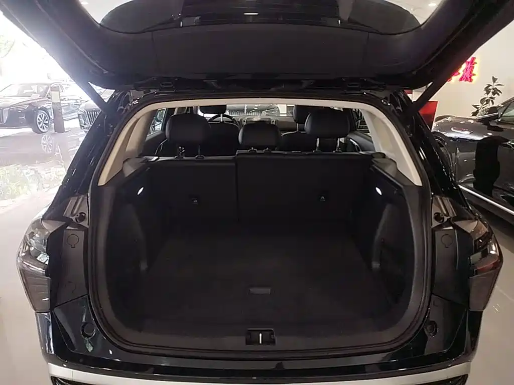 Hongqi Hongqi HS3 PHEV — миниатюра 19