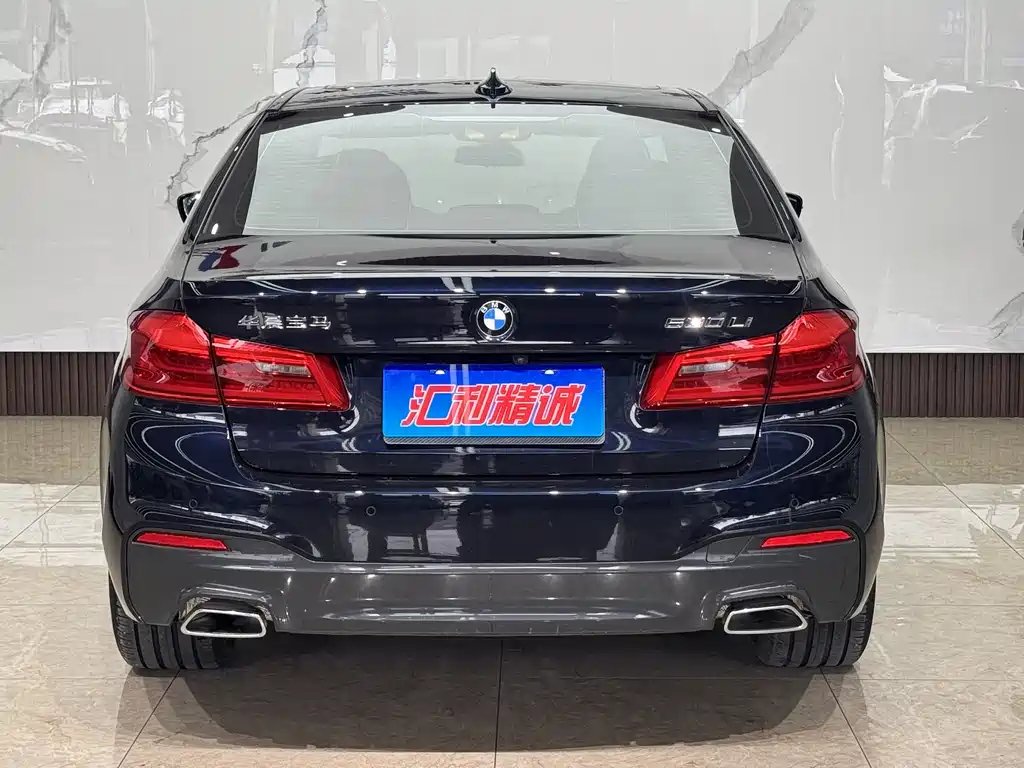 BMW 5 Series 5 2019 530Li Premium M Sport