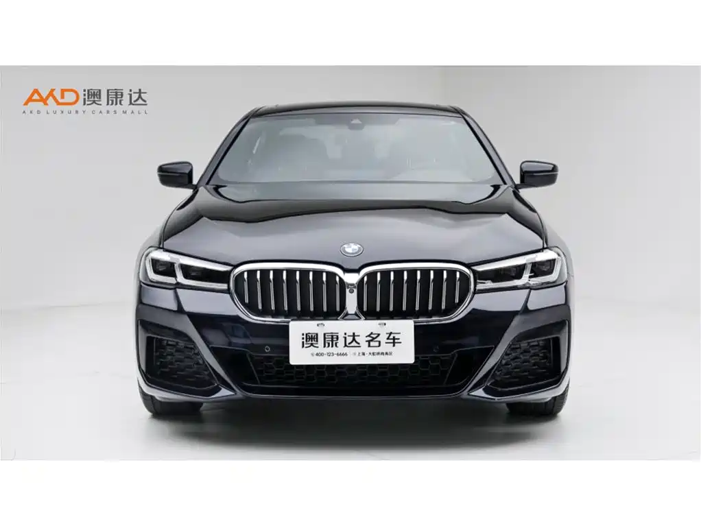 BMW 5 Series — миниатюра 2