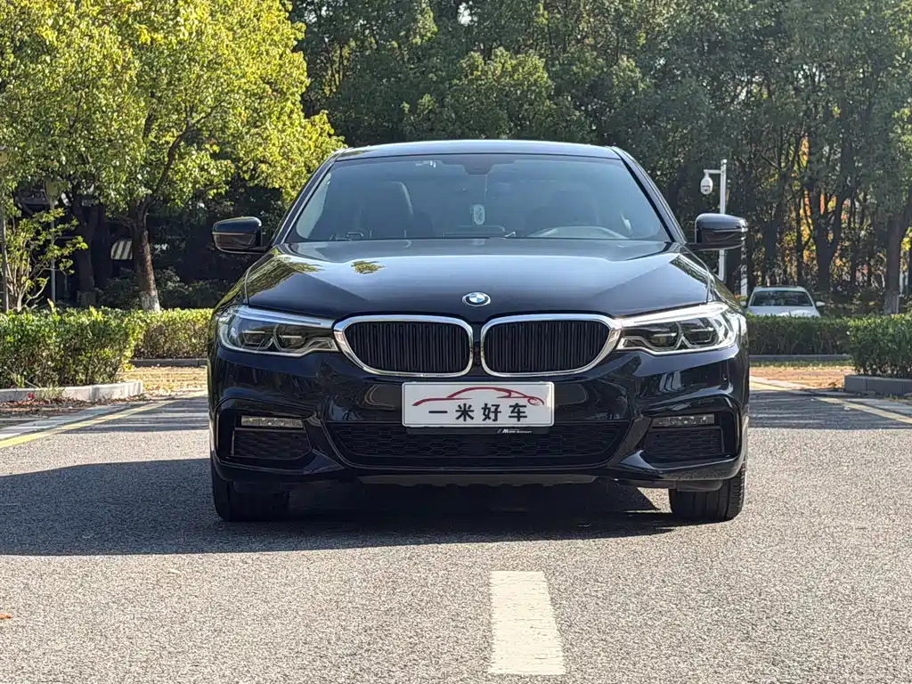 BMW 5 Series — миниатюра 2