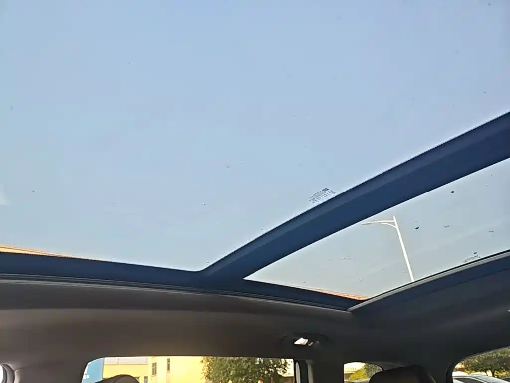 Buick GL6 — миниатюра 18