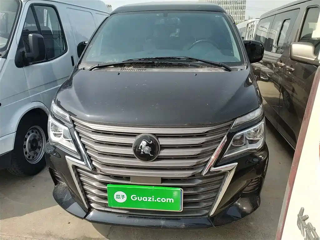 Fengxing Lingzhi 2023