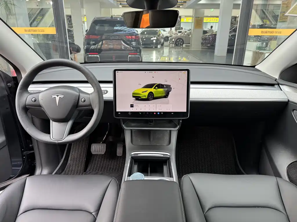 Tesla Model Y — миниатюра 10