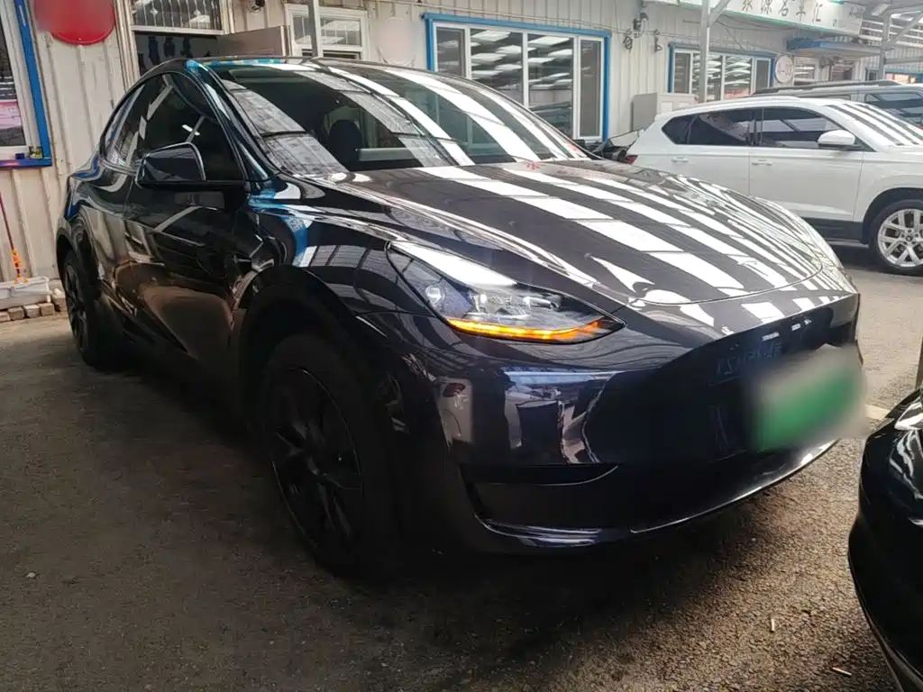 Tesla Model Y — миниатюра 4