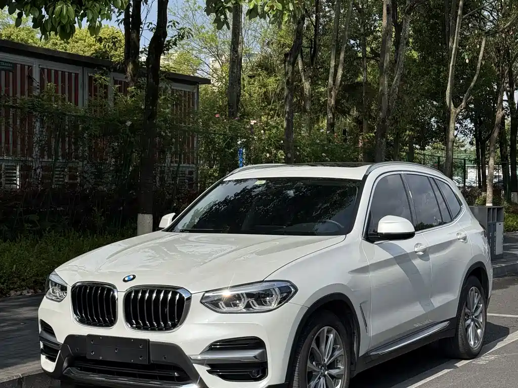 BMW X3 2021 xDrive25i Luxury Package