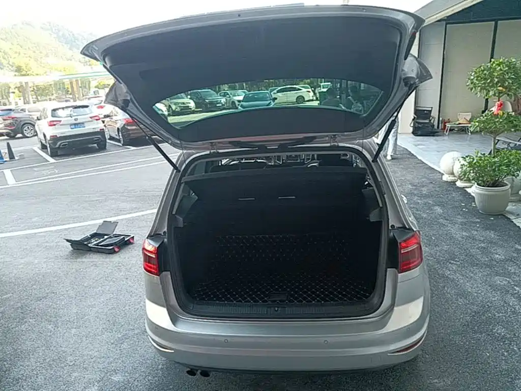 Volkswagen Golf (Import) — миниатюра 19