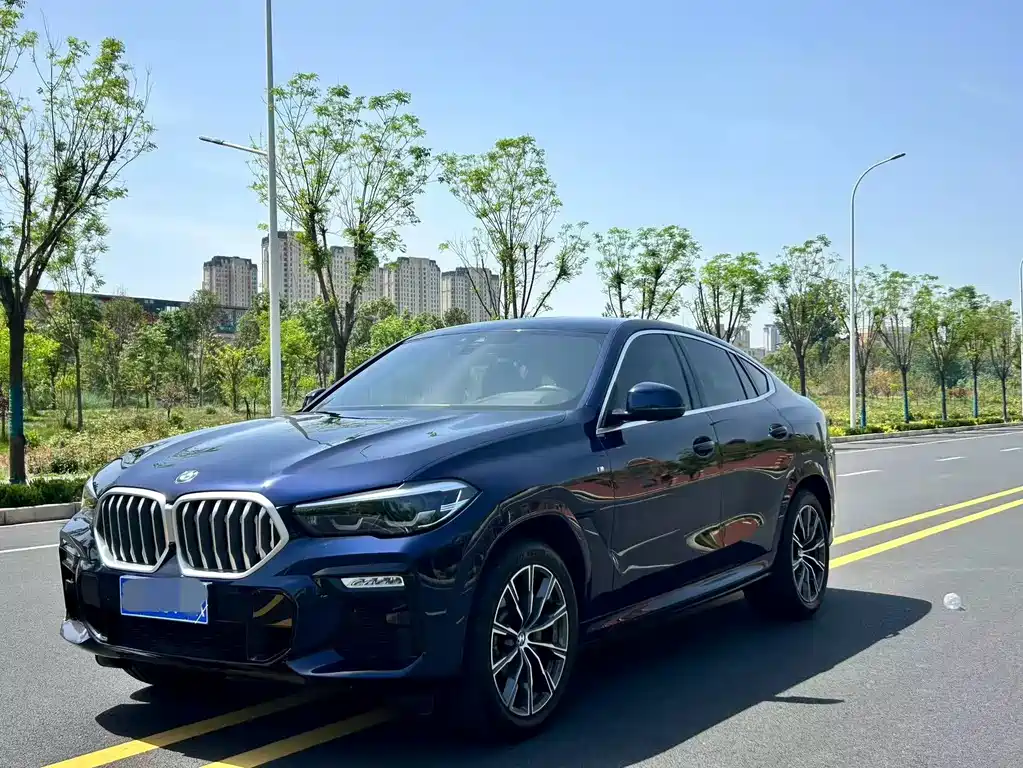 BMW X6 2021