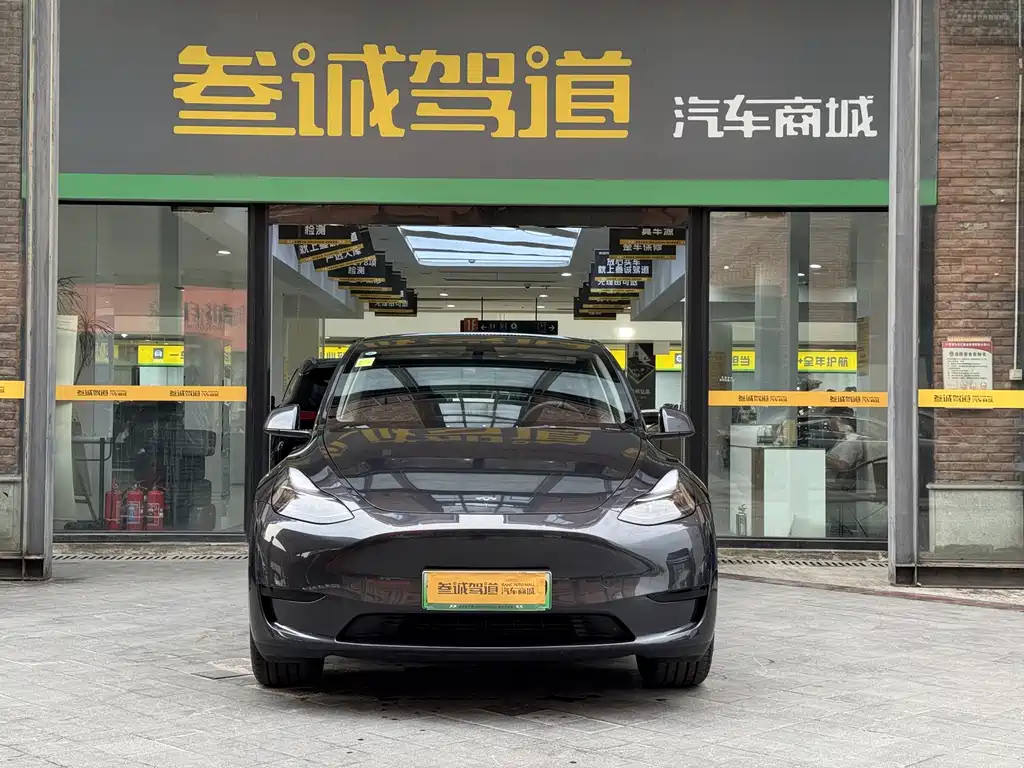 Tesla Model Y — миниатюра 2