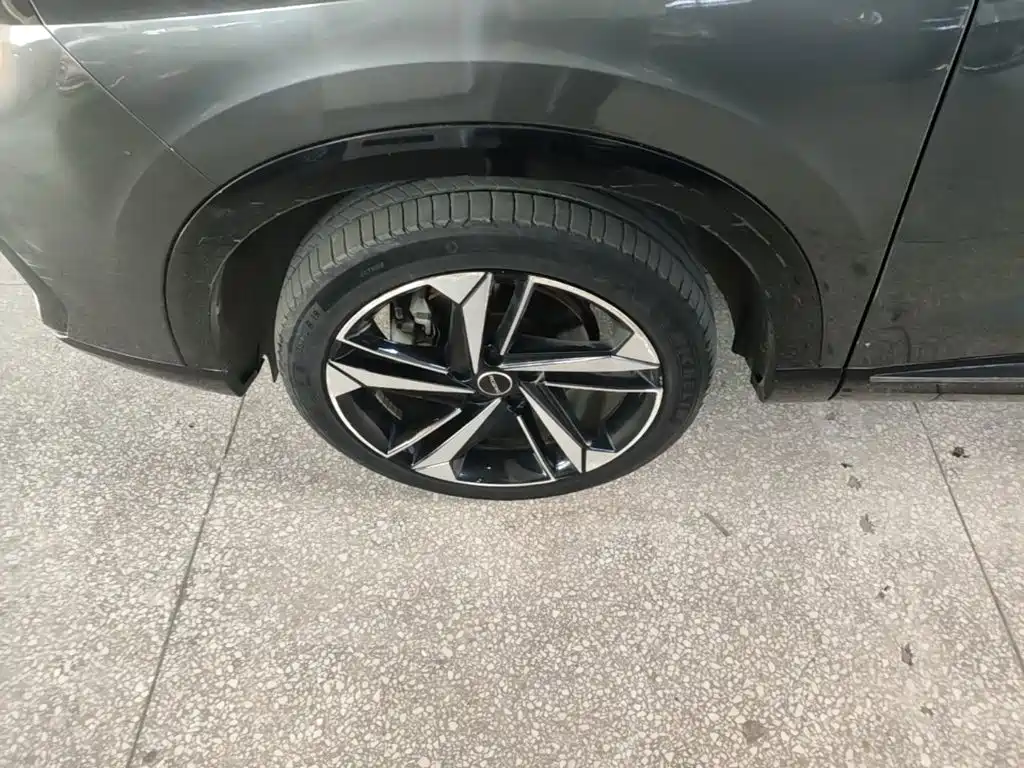 Roewe RX5 MAX — миниатюра 23