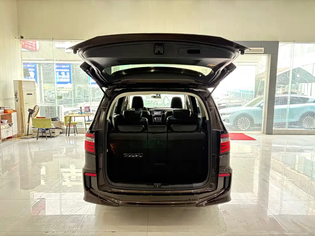 Honda Elysion — миниатюра 18