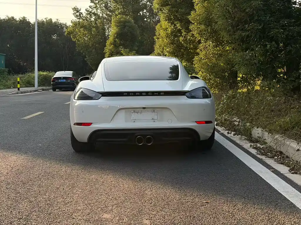 Porsche 718 — миниатюра 8