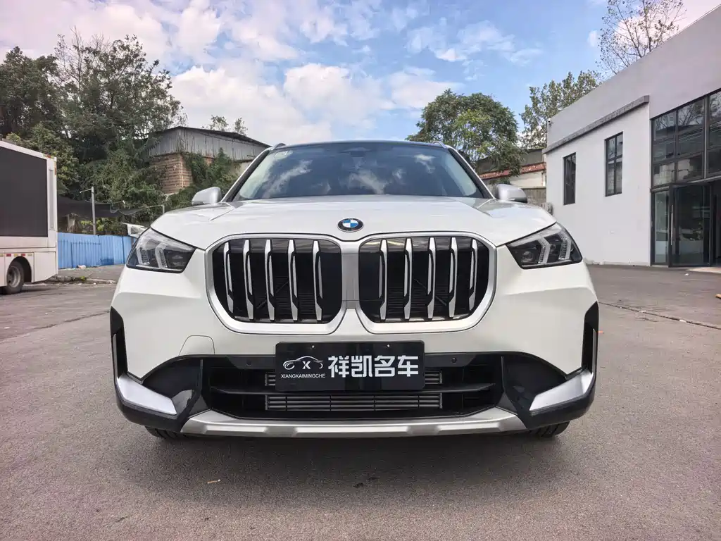 BMW X1 — миниатюра 2