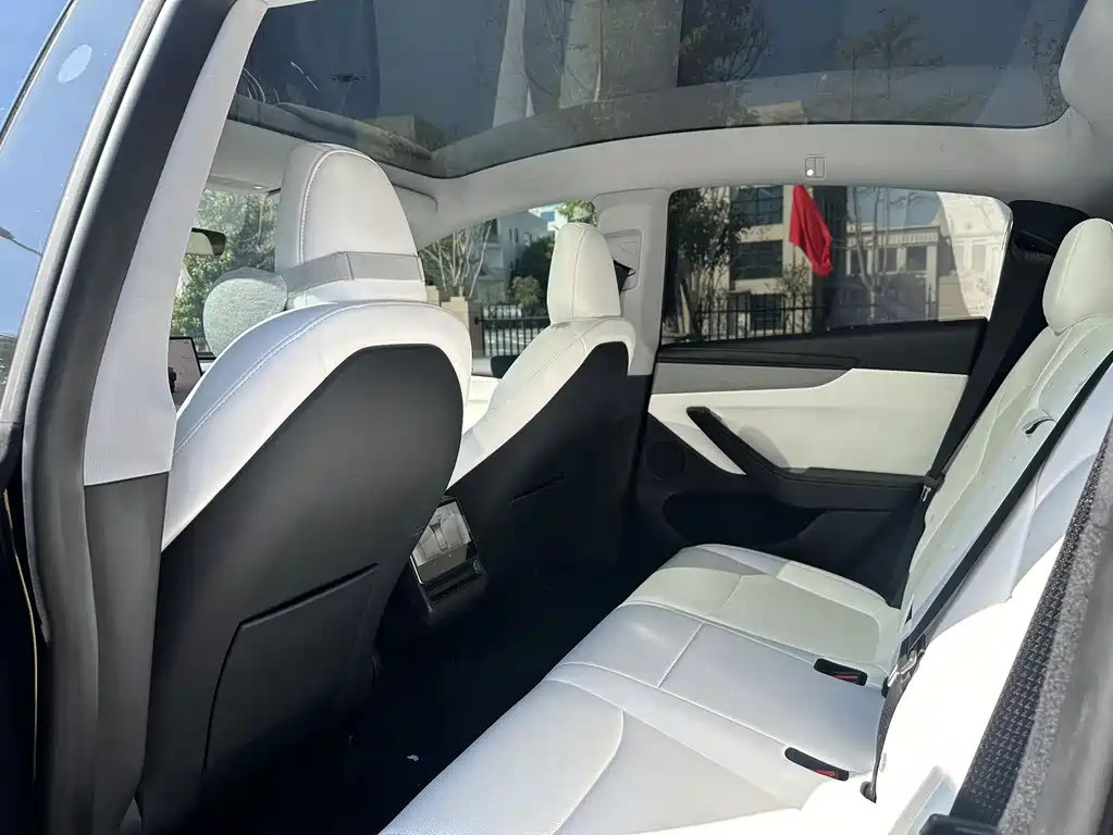 Tesla Model Y — миниатюра 5