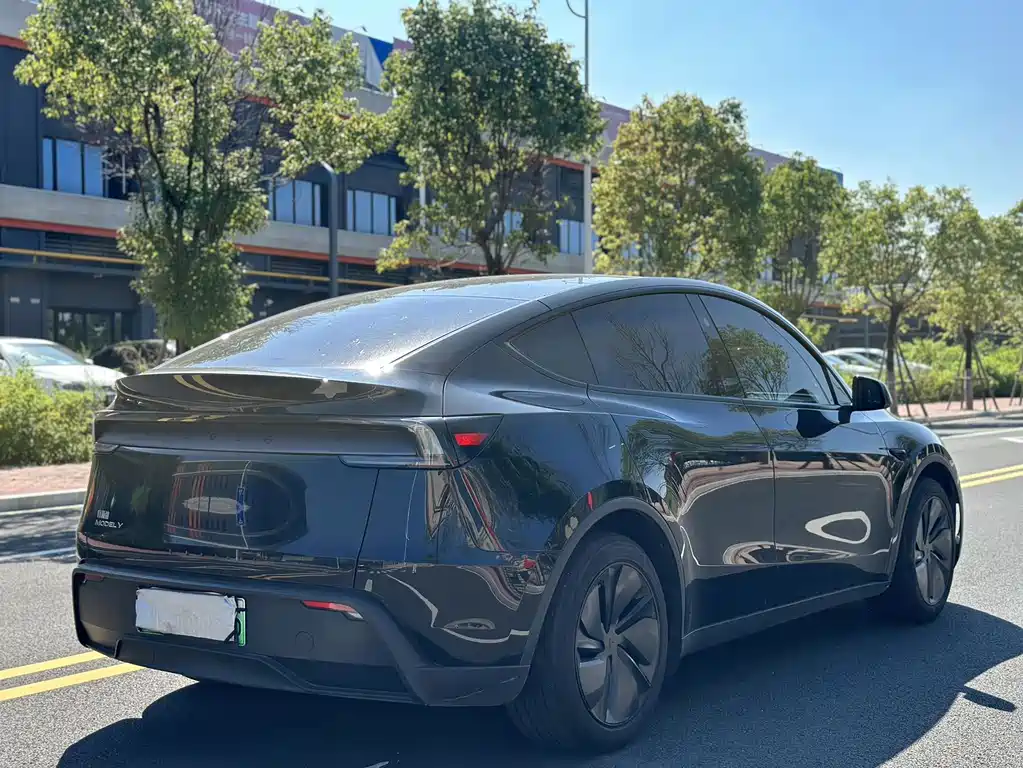 Tesla Model Y — миниатюра 9