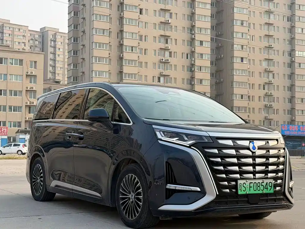 Denza Denza D9 — миниатюра 2