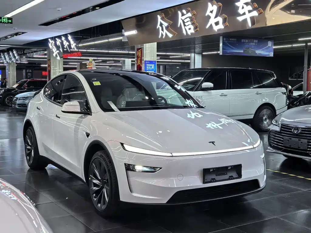 Tesla Model Y — миниатюра 3