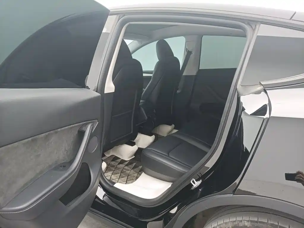Tesla Model Y — миниатюра 7