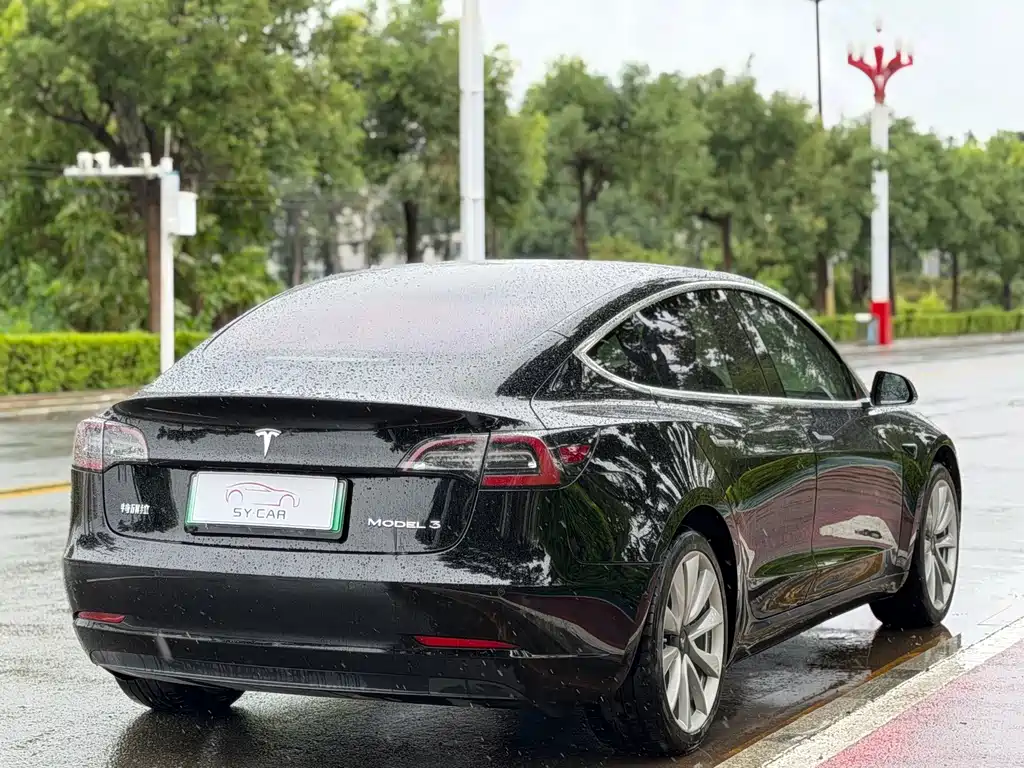 Tesla Model 3 — миниатюра 5