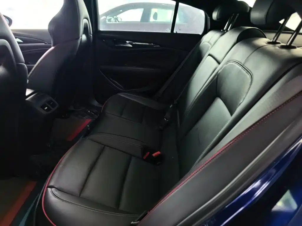 Buick Regal — миниатюра 17