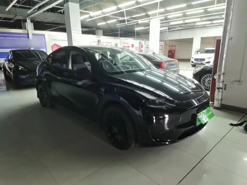 Tesla Model Y — миниатюра 4