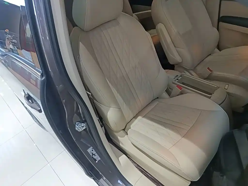 Buick GL8 — миниатюра 25