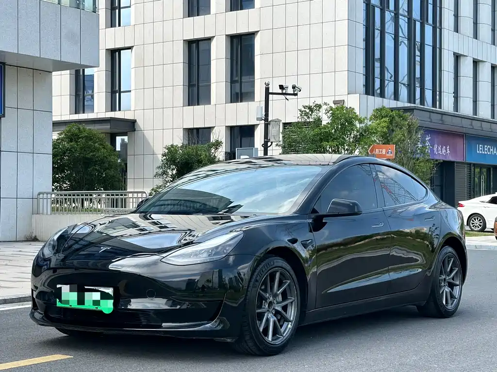 Tesla Model 3 2021