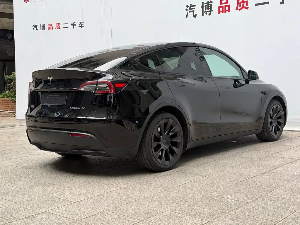 Tesla Model Y — миниатюра 5