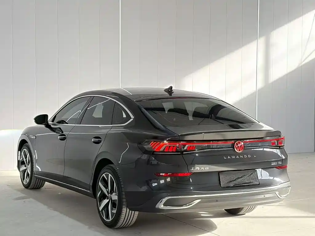 Volkswagen Lamando — миниатюра 6